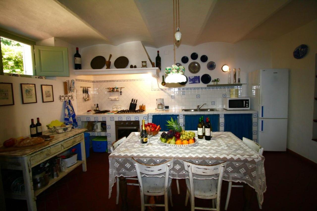 Villa Paradiso Castiglioncello Extérieur photo